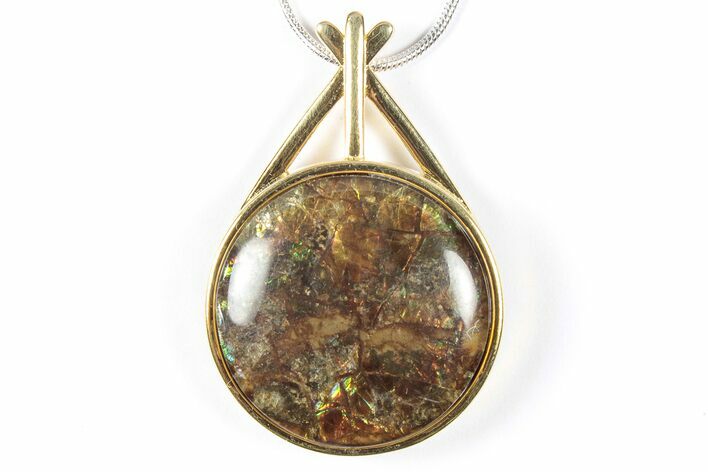 Brilliant Ammolite Pendant (Necklace) - Alberta, Canada #352196